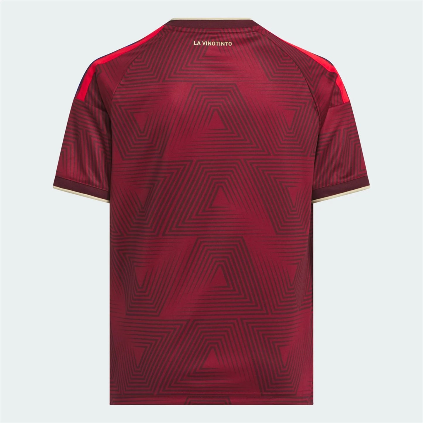 Venezuela Home 2026 - Fan Version