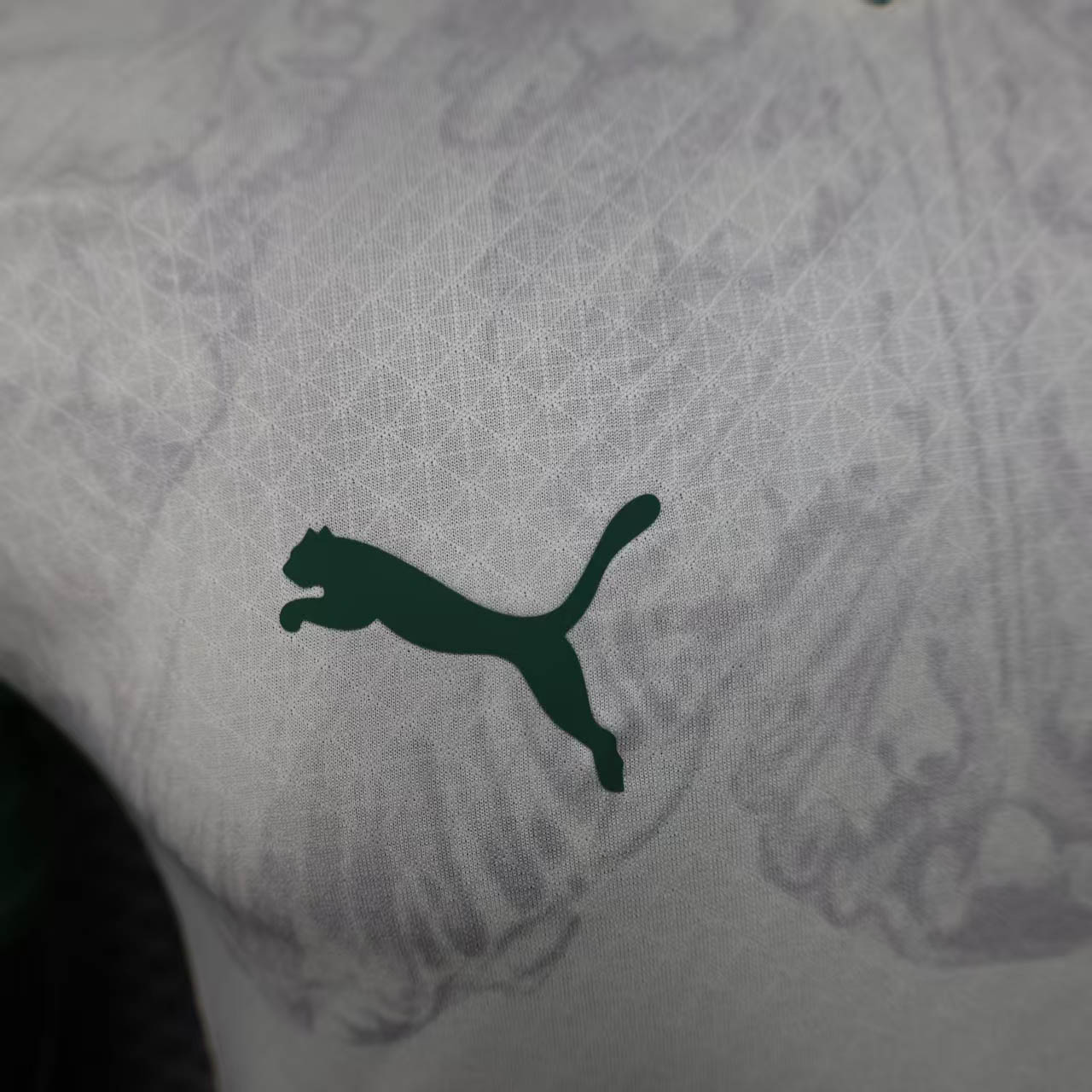Palmeiras Away Authentic Player [Slim Fit] Player [Slim Fit] Player [Slim Fit] Player Slim Fit 2025 - Club World Cup [Slim Fit]