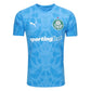 Palmeiras Goalkeeper 2025/26 - Blue Fan Version