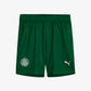 25/26 Palmeiras away Kid Kits