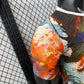 Japan Anime 2025/26  Player - Japao [Slim Fit]