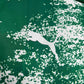 Palmeiras For a Greener Future Special Edition