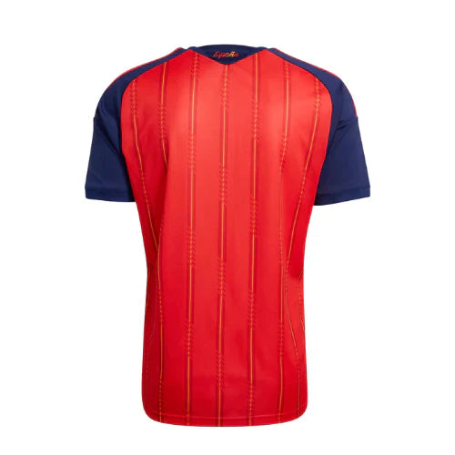 Spain 2026 home - Fan Version
