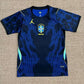 Brazil Away Blue 2026 - Brasil Jordan Fan Version