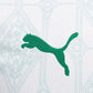 Palmeiras Away Jersey 2025/26 - Patch Campeão