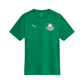 Camisa Palmeiras 25/26 Treino verde