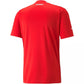Austria 22/23 I Home Jersey - Fan Version