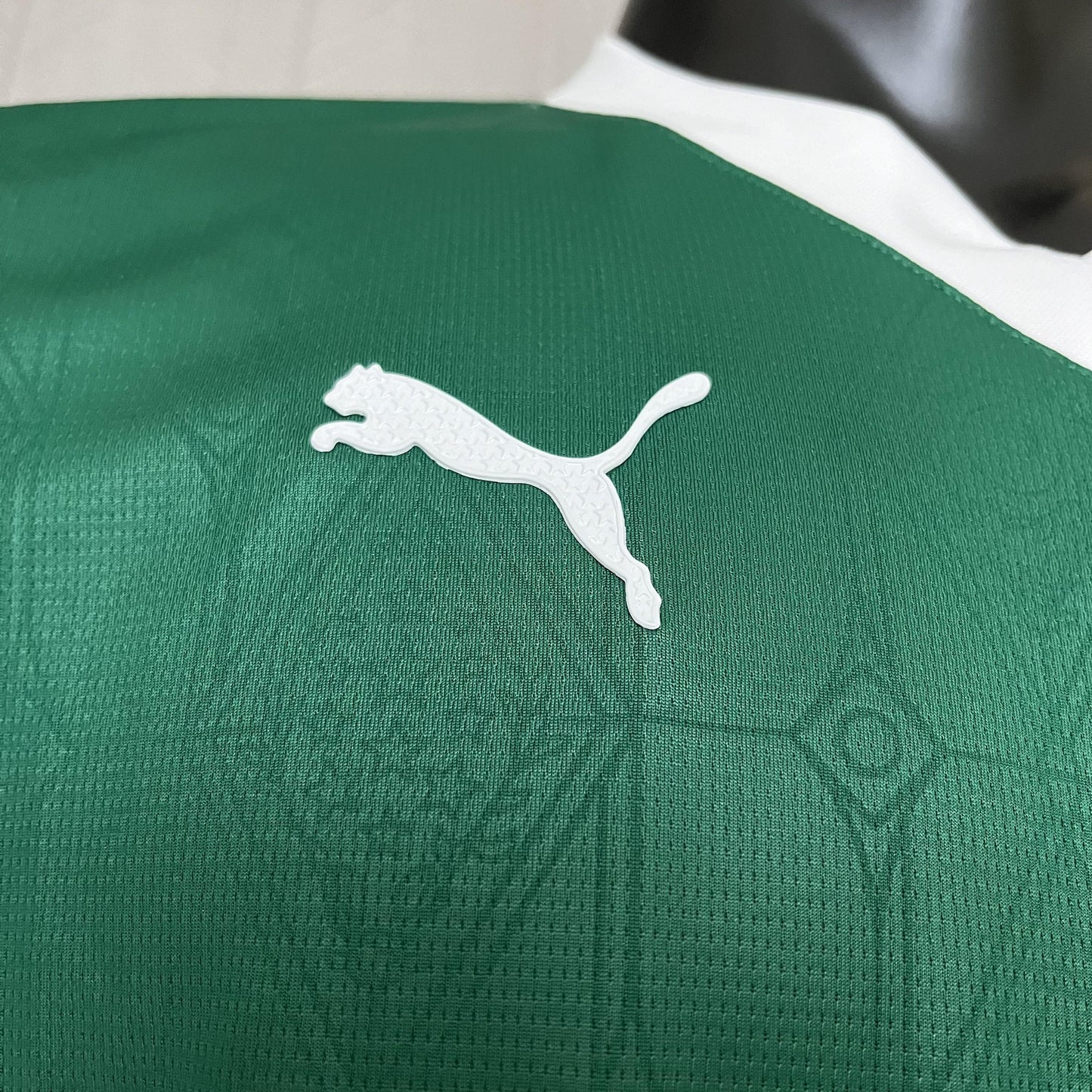 Palmeiras 2025/26 Player - [Slim Fit] - Slim Fit