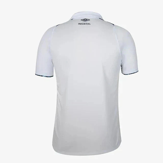 Away 24/25 Men’s Shirt 2