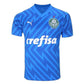 Palmeiras 24/25 Goalkeeper I Home Jersey Fan Version