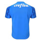Palmeiras 24/25 Goalkeeper I Home Jersey Fan Version