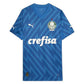 Palmeiras 24/25 Goalkeeper I Home Jersey Player Version - Slim Fit