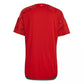 Wales 22/23 I Home Jersey - Fan Version
