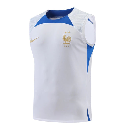 France Training Regata White - Fan Jersey